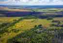 Forest-steppe